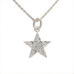 Star Sroll Honu Pendant